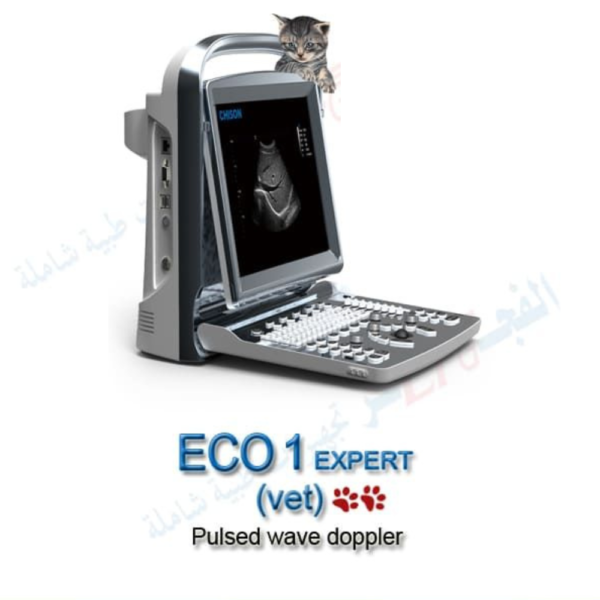 Ultrasound ECO1 EXPERT